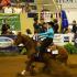 2016 IHSA Nationals